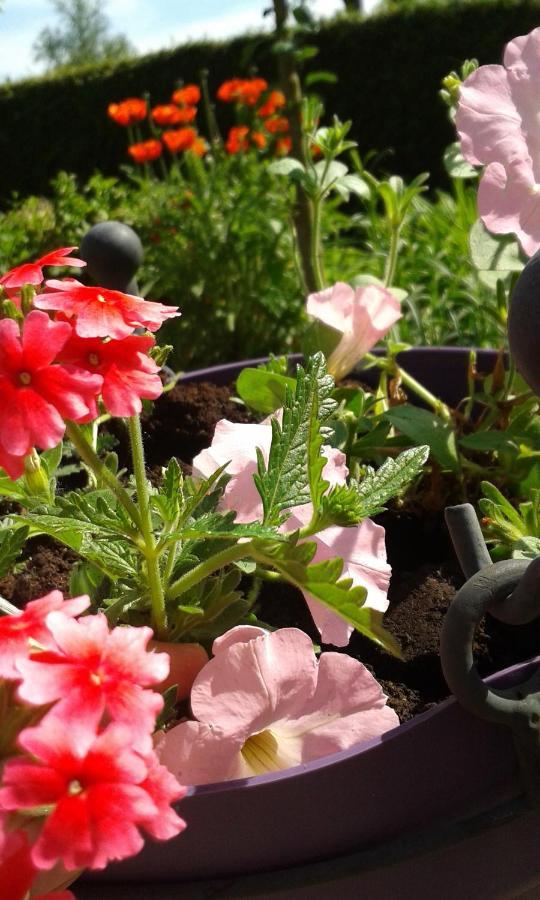 مبيت وإفطار دربي La Fleur Et Le Soleil المظهر الخارجي الصورة